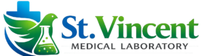 cropped-ChatGPT-Image-Jun-11-2026-11_03_25-AM.png